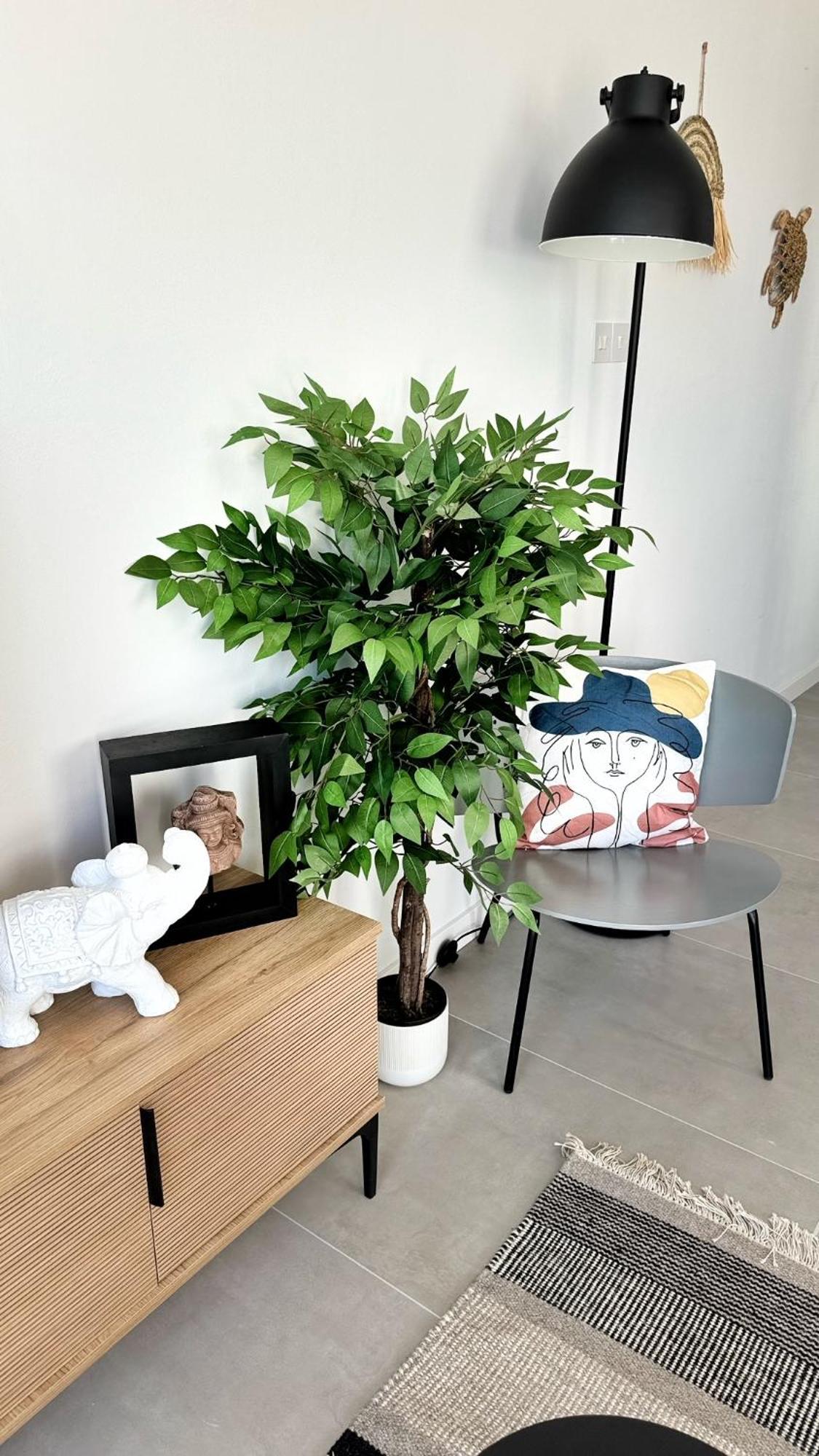 Peyia Paradise Apt Екстериор снимка